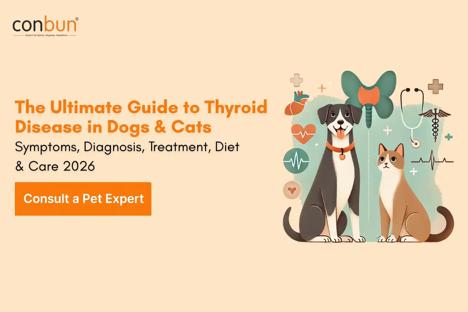 The Ultimate Guide to Thyroid Disease in Dogs & Cats (2026): Symptoms, Diagnosis, Treatment, Diet & Long-Term Care